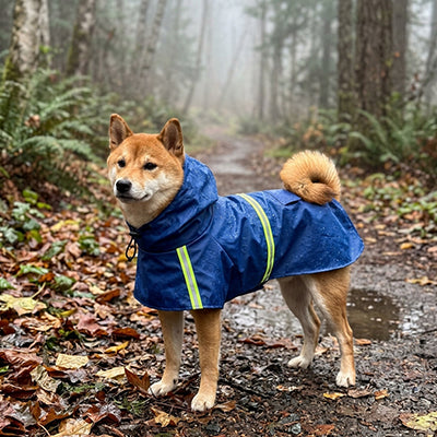 manteau pour chien pluie bleu shiba inu forêt brumeuse imperméable réfléchissant
