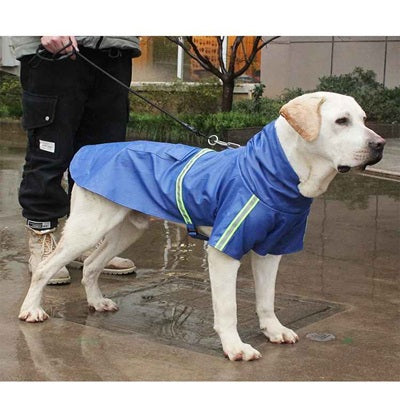 manteau pour chien pluie grand chien bleu imperméable bande réfléchissante labrador