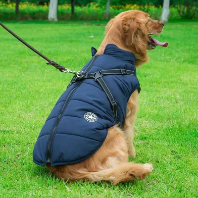 manteaux pour chien bleu marine harnais golden retriever hiver impermeable exterieur