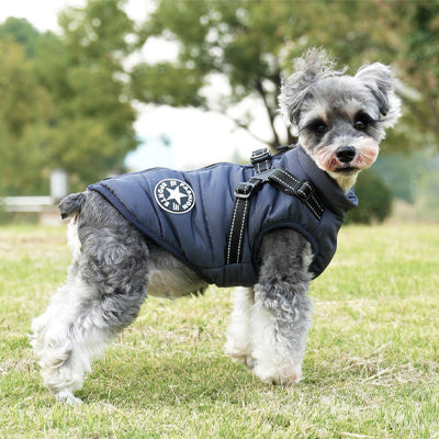 manteaux pour chien bleu marine schnauzer harnais integre hiver exterieur parc