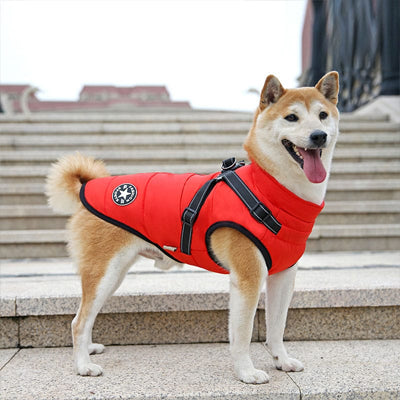 manteaux pour chien rouge shiba inu harnais integre moyen chien exterieur
