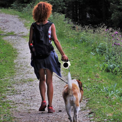 marche en foret securisee avec husky grace a une laisse chien enrouleur anti traction