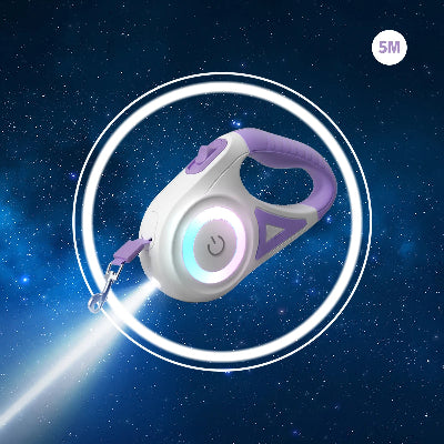 modele violet elegant d enrouleur laisse chien moderne