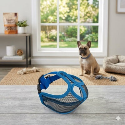 museliere bouledogue francais bleue interieur salon respirante museau plat confortable ajustable securite