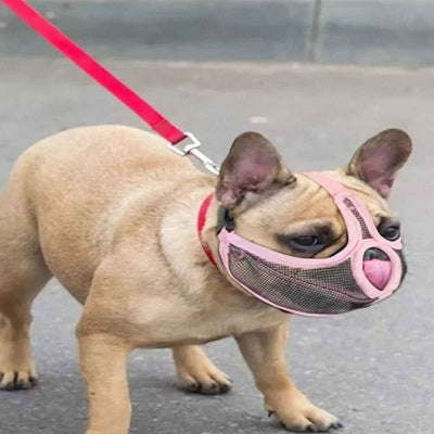museliere bouledogue francais rose museau plat confortable respirante promenade securite