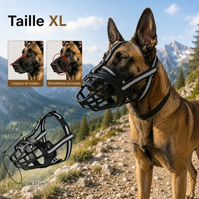Muselière cage Malinois taille XL guide mesure circonférence