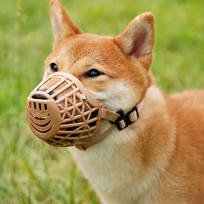 muselière cage plastique beige shiba inu extérieur confortable respirante sécurisée ajustable protection