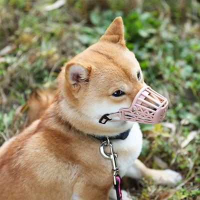 muselière cage plastique beige shiba inu promenade confortable respirante sécurisée ajustable laisse