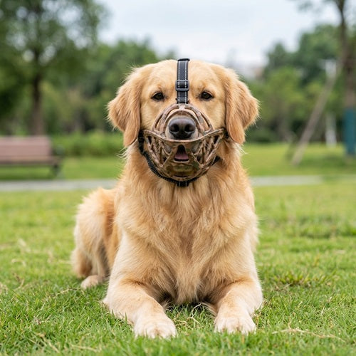 Muselière chien anti-morsure camouflage marron Golden Retriever couché herbe