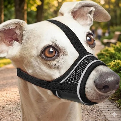 museliere chien blanc respirante promenade maille confortable