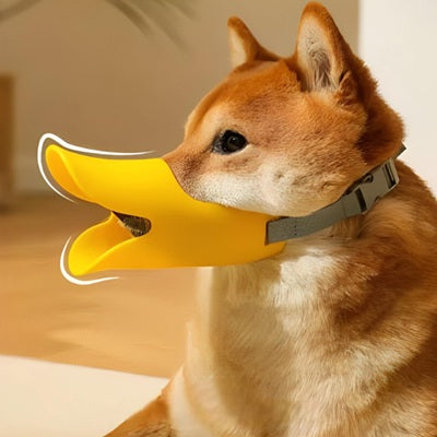 museliere chien canard jaune shiba inu silicone ajustable amusante confortable interieur