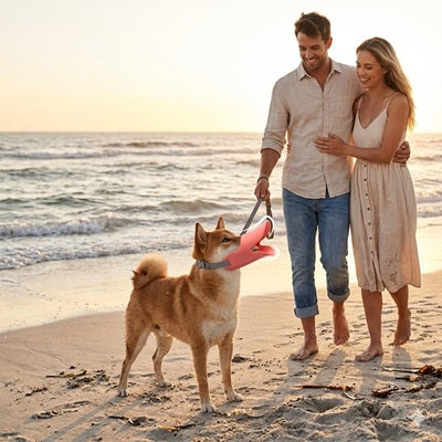 museliere chien canard rose shiba inu plage couple promenade vacances confortable