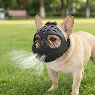 Muselière pour Bouledogue français noire, aération, parc, haleter, chien