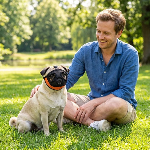 muselière pour bouledogue noire orange carlin avec son maître au parc
