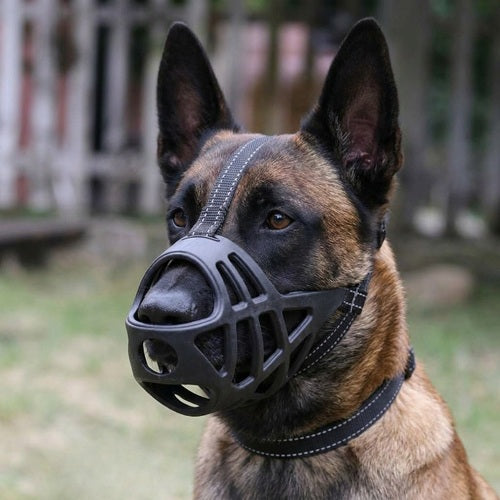 Muselière pour chien Malinois noire panier gros plan sangle frontale