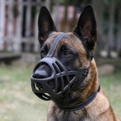 Muselière pour chien Malinois noire panier gros plan sangle frontale