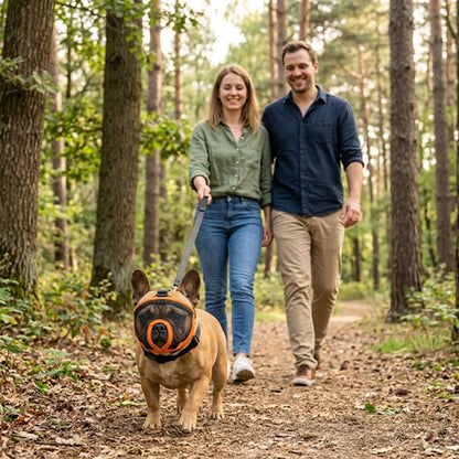 Muselière pour race bouledogue français orange promenade en couple en forêt