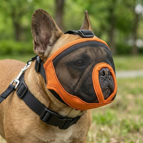 Muselière pour race bouledogue français orange vue rapprochée de trois quarts