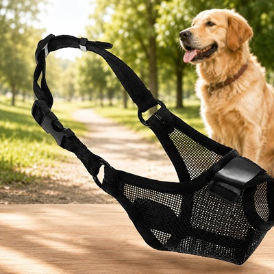 Muselière respirante chien maille noire réglable Golden Retriever sécurité balade