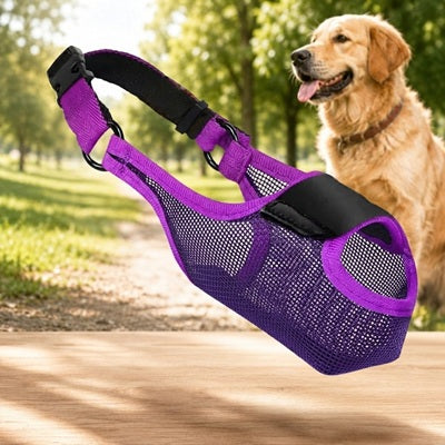 Muselière respirante chien maille violette réglable Golden Retriever sécurité balade