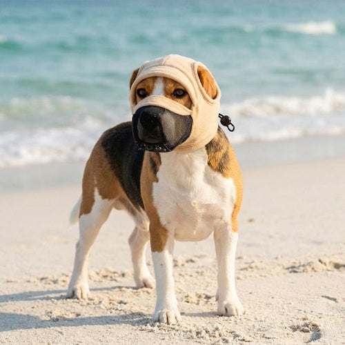 Muselière tissu chien beige promenade plage bord de mer