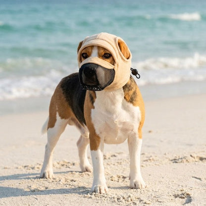 Muselière tissu chien beige promenade plage bord de mer