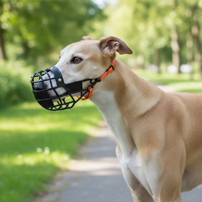 museliere whippet noire panier plastique promenade parc confortable securisee ajustable