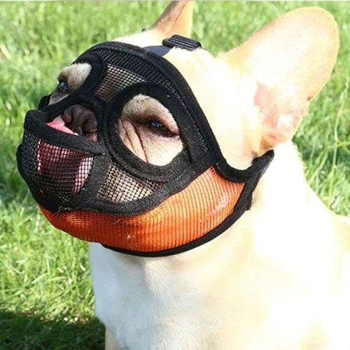 Muselières bouledogue français filet mesh noir orange jardin gros plan