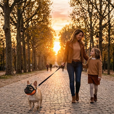 Muselières bouledogue français mesh noir orange allée coucher soleil famille