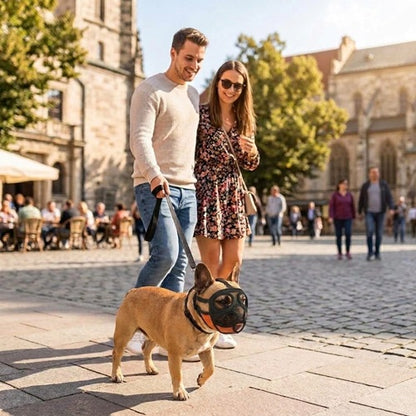 Muselières bouledogue français mesh noir orange place couple balade ville