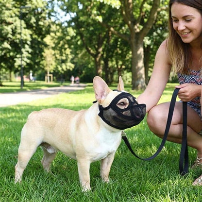 Muselières bouledogue français mesh noir parc femme accroupie pelouse