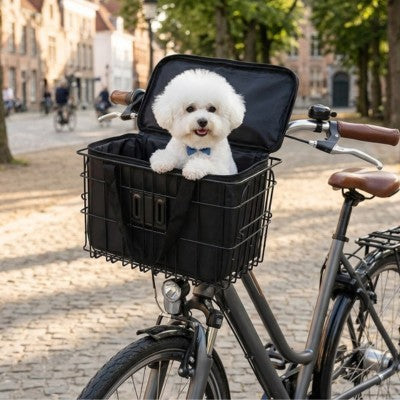 Panier pour chien à vélo bichon centre-ville pavés