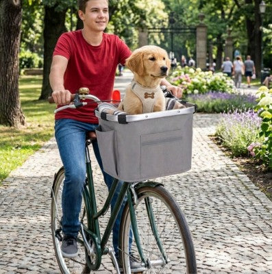 Panier pour chien pour vélo labrador adolescent parc balade gris
