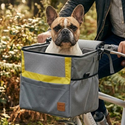 Panier pour chien sur vélo bouledogue français gros plan forêt guidon.