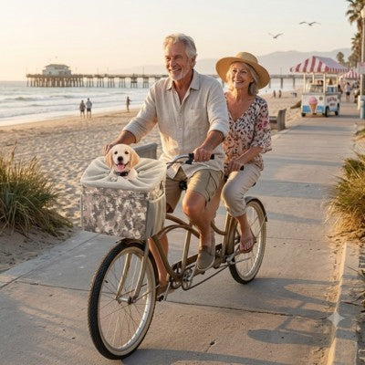 Panier pour vélo pour chien couple tandem bord de mer labrador.