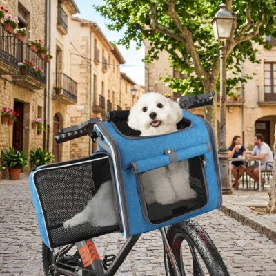 Panier vélo pour chien bichon blanc bleu village pierre terrasse café