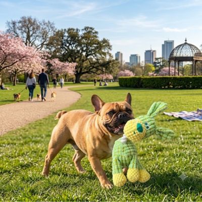 Peluche chien bouledogue français jouet parc extérieur doux résistant