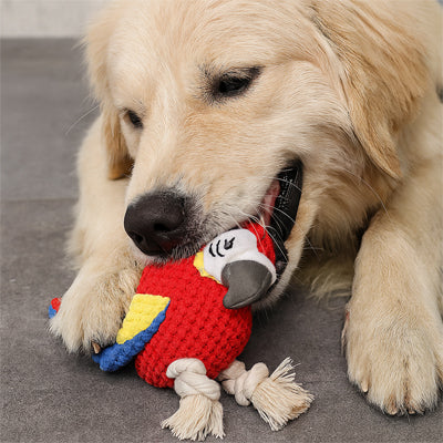 peluche chien perroquet golden retriever mastique corde jouet résistant