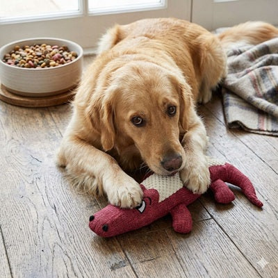 Peluche pour chien alligator rouge Golden Retriever jouet
