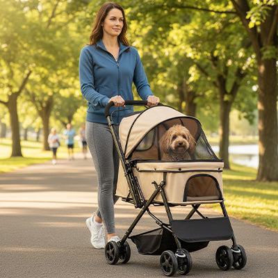 poussette chien beige caniche abricot promenade parc jogging