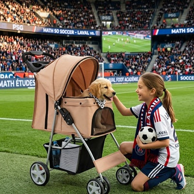 Poussette chien beige stade PSG pelouse fille chiot Golden Retriever