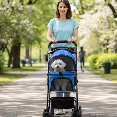 poussette chien bleu bichon promenade allée parc