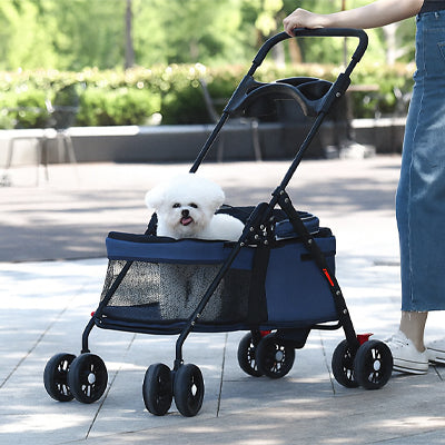 poussettes pour chiens bleue bichon promenade allée parc été