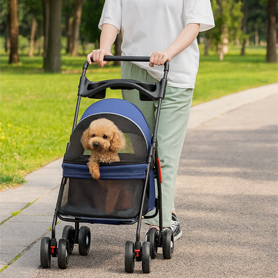poussettes pour chiens bleue caniche abricot promenade parc homme