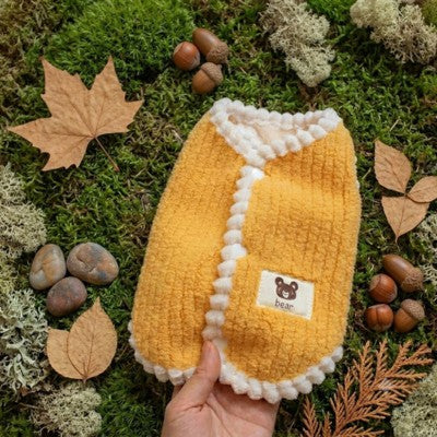 Pull chien teddy jaune moutarde blanc nature automne main