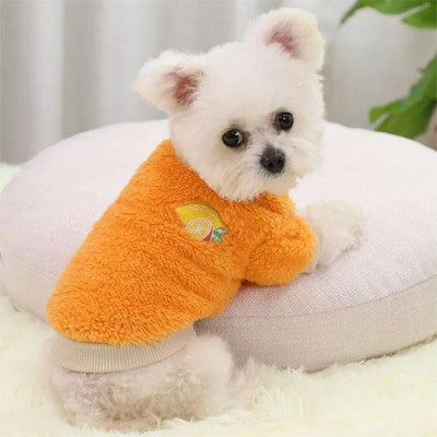 Pull pour chien orange polaire teddy citron broderie chiot porte