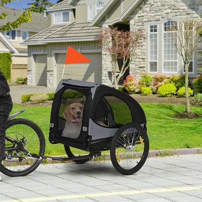 remorque pour chien vélo labrador gris noir drapeau orange balade