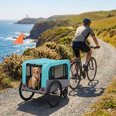 Remorque pour vélo pour chien golden retriever cycliste falaise mer