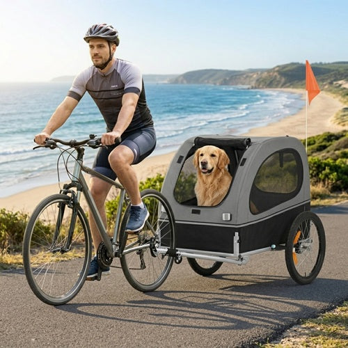 Remorque vélo grand chien Golden Retriever balade bord de mer