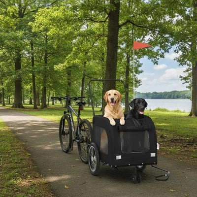Remorque vélo pour chien noire deux chiens parc